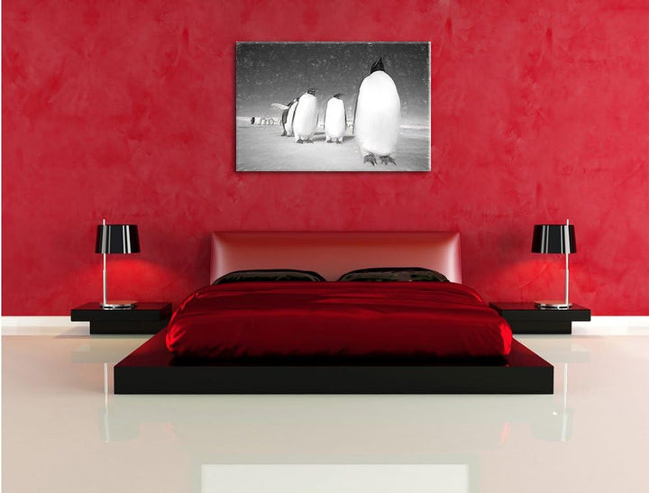 Pixxprint Kaiserpiguine in Antarktis Kunst/Format: 100x70cm / Leinwandbild fertig bespannt Wandbild