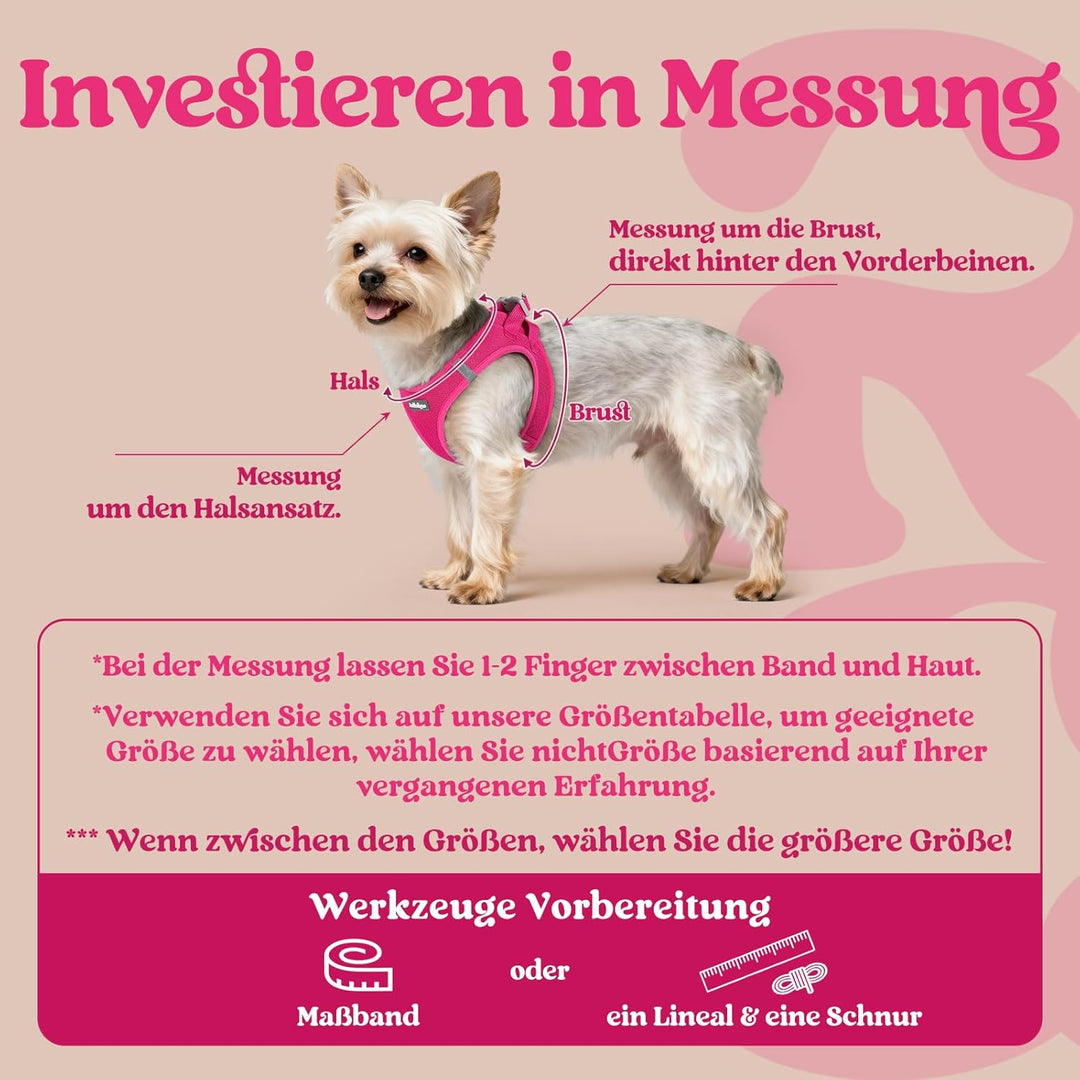 rabbitgoo Hundegeschirr Kleine Hunde, Step-in Welpengeschirr Weich Mesh für Spaziergänge, Atmungsakt