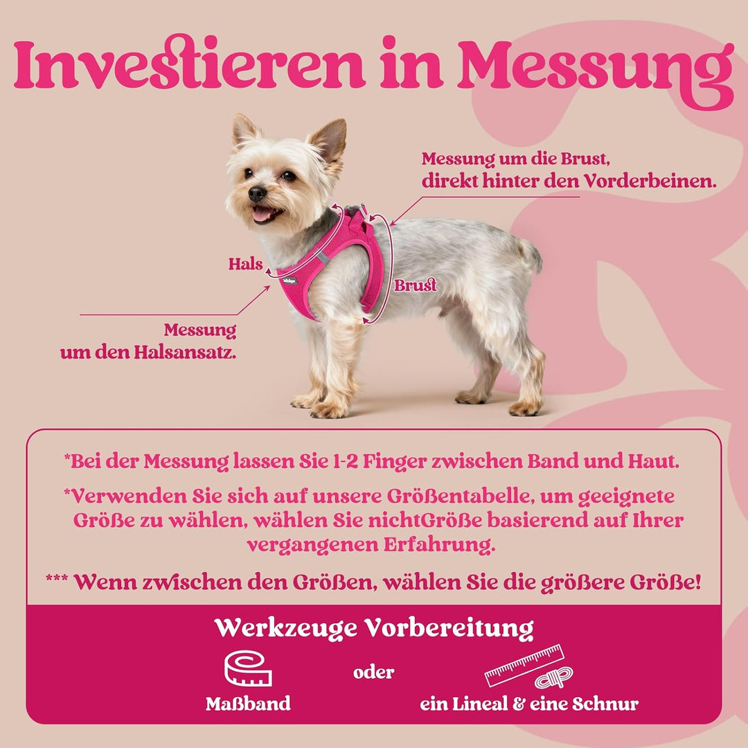rabbitgoo Hundegeschirr Kleine Hunde, Step-in Welpengeschirr Weich Mesh für Spaziergänge, Atmungsakt