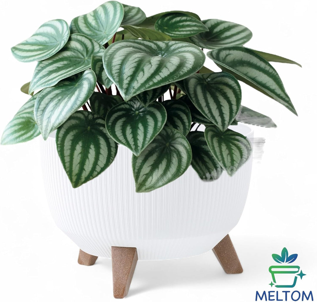 MELTOM Blumentopf Schale mit Füssen Einsatz Kräutertopf Übertopf Pflanzschale Eco Recycled (Weiss, M
