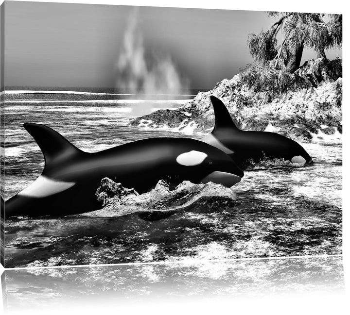 Pixxprint Monocrome, Orcas vor Insel, Format: 100x70 auf Leinwand, 100x70