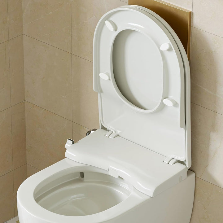 WC Sitz mit Bidet Funktion, Bidet Aufsatz für Toilette ohne Stromanschluss, Toilettendeckel mit Abse