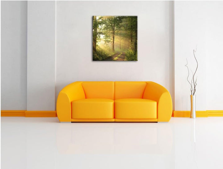 Waldweg im Winter, Format: 70x70 auf Leinwand, XXL riesige Bilder fertig gerahmt mit Keilrahmen, Kun
