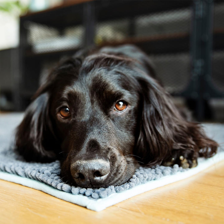 Henry Wag Microfibre Noodle Dog Mat 65 x 50cm farblos, 65 x 50cm farblos