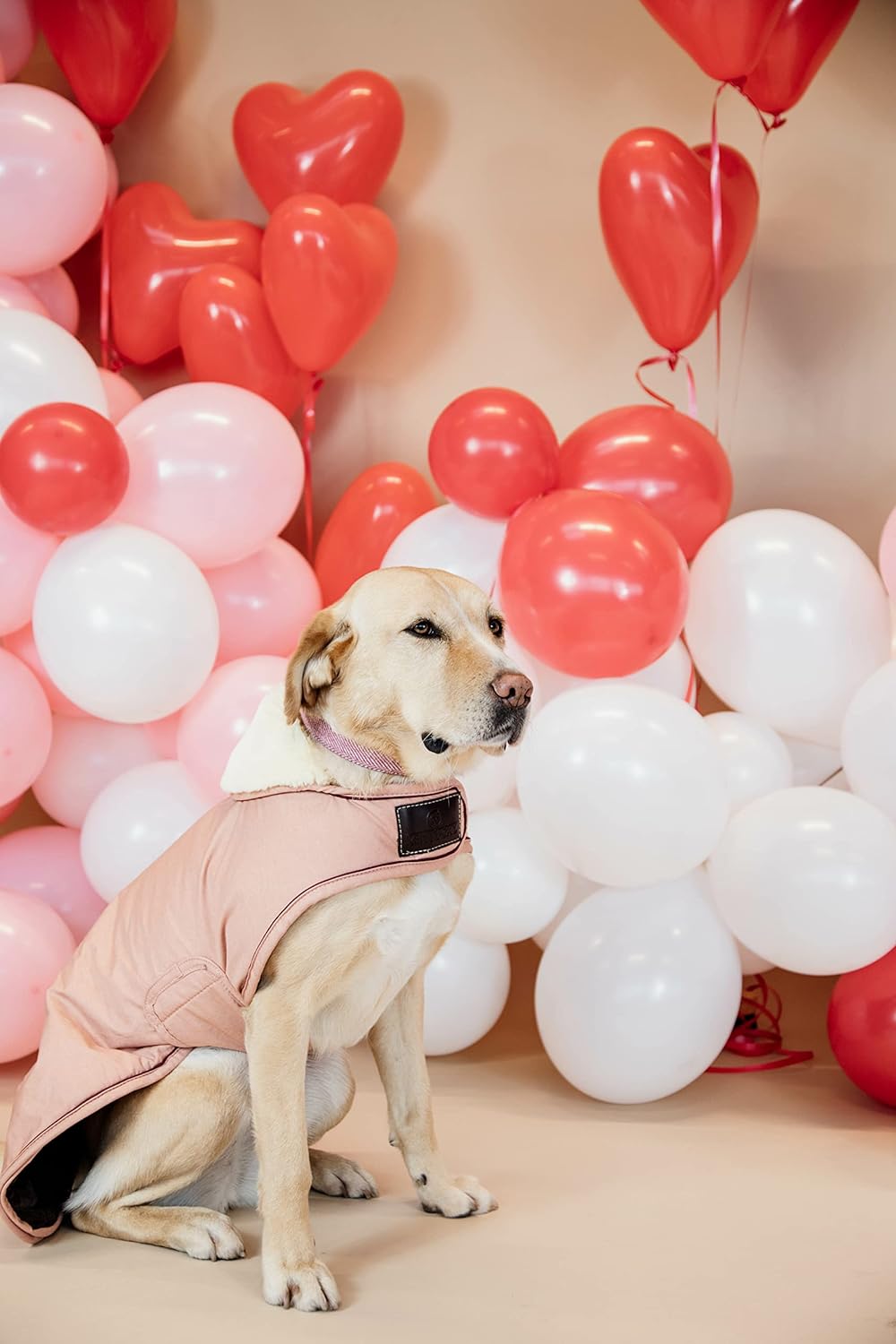 Kentucky Dogwear wasserfester Hundemantel, Grösse:S, Farbe:Coral S coral, S coral