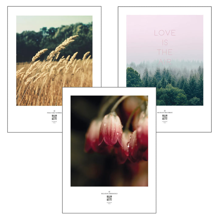 VALINA HÖRBAR RELAX | Hörbild | 3er-Set | Wald & Wiese 01 | Poster Poster / Papier 30cm x 40cm, Post