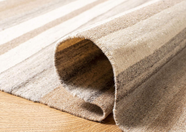 SAFAVIEH Zeitgenössische Teppich für Wohnzimmer, Esszimmer, Schlafzimmer - Dhurrie Collection, Kurze