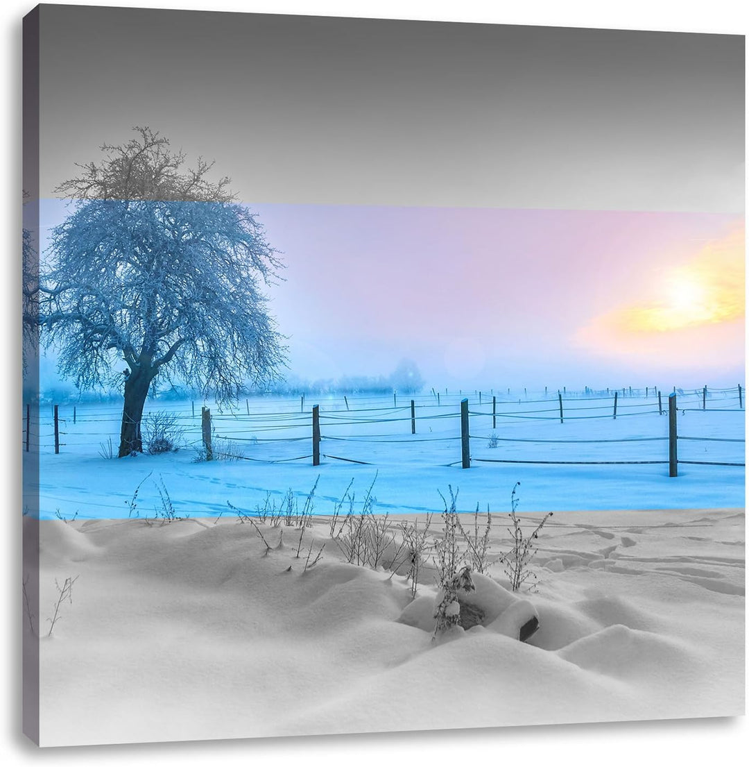 Pixxprint Baum in Winterlandschaft als Leinwandbild | Grösse: 70x70 cm | Wandbild | Kunstdruck | fer