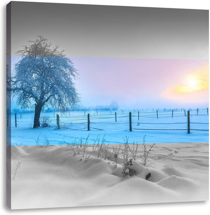 Pixxprint Baum in Winterlandschaft als Leinwandbild | Grösse: 70x70 cm | Wandbild | Kunstdruck | fer