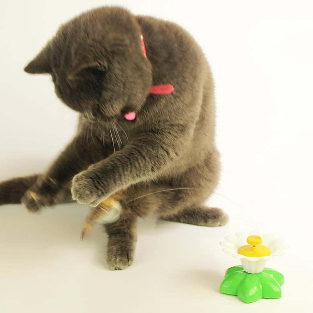 Interaktives Spielzeug, automatische rotierende Katze, elektrischer Vogel, ideal für Unterhaltung un