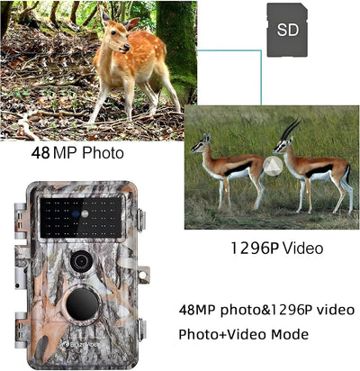 BlazeVideo 2tlg. Wildkamera 32MP 1296P HD Wildtierkamera mit Nachtsicht Bewegungsmelder, IP66 Wasser