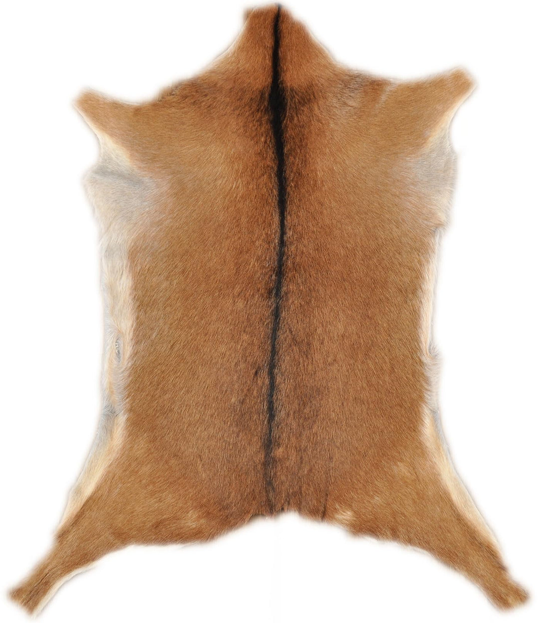 generisch Ziegenfell Beige Hellbraun ca.. 80 x 60 cm echtes Ziegen Fell Deko Fell von KUHFELLE ONLIN