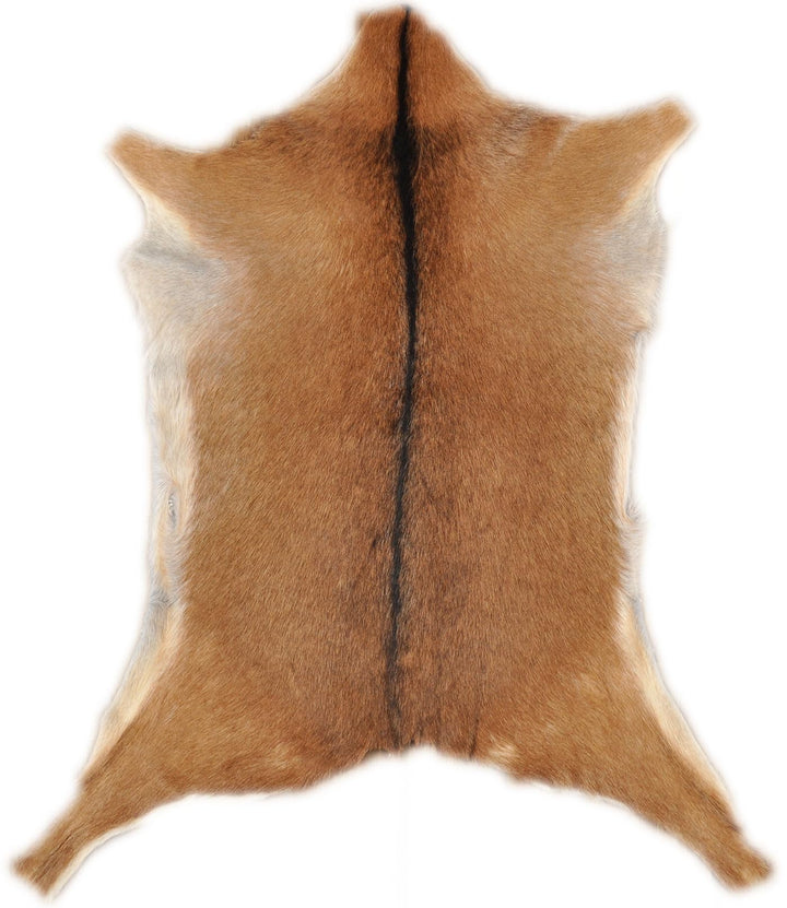 generisch Ziegenfell Beige Hellbraun ca.. 80 x 60 cm echtes Ziegen Fell Deko Fell von KUHFELLE ONLIN
