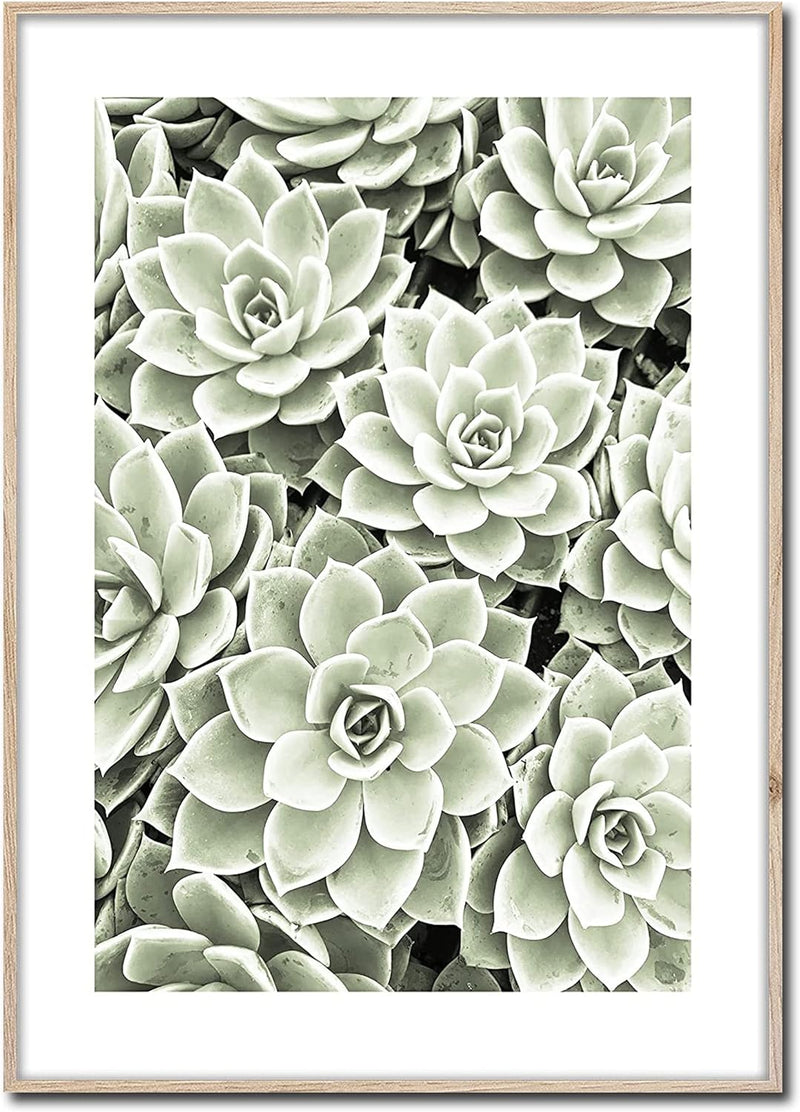 Rahmenbild Succulent | Artbox Wandbild | Bild mit Holz Rahmen Optik Framepic | Sukkulent Garten Zimm