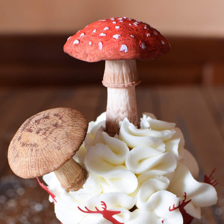Katy Sue Designs Flower Pro Fliegenpilze &amp; Pilze Silikonform &amp; Veiner für Kuchendekoration &amp; Basteln