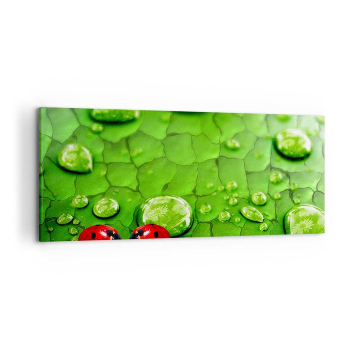 Wandbilder Dekoration Wohnzimmer Marienkäfer Gras Blatt Tropfen Panorama Bilder auf Leinwand 120x50c