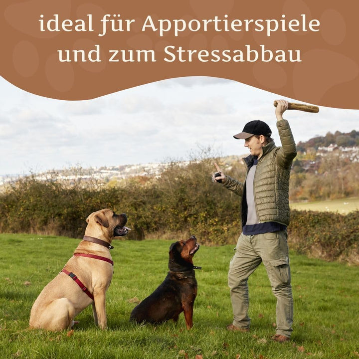 Wildfang® Olivenholz Kauholz für Hunde | Holzknochen Olivenholz | natürliches Kauspielzeug aus Olive
