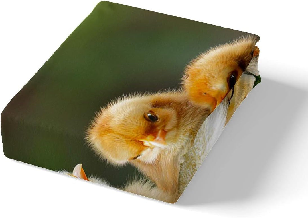 Loussiesd Küken Bettwäsche Set 135x200cm für Kinder Jungen Mädchen süsses 3D Huhn Betten Set Bauernh