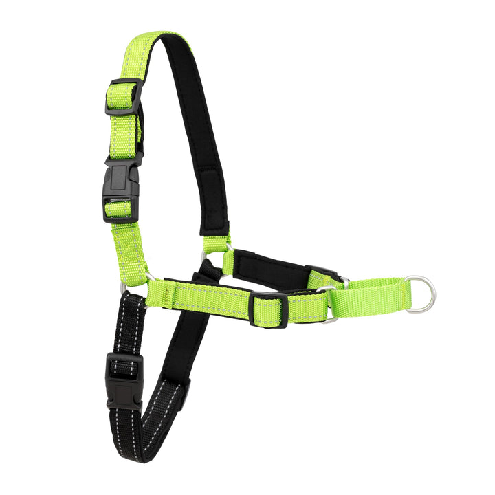 PetSafe Deluxe Easy Walk Hundegeschirr apfelgrün Medium, apfelgrün Medium