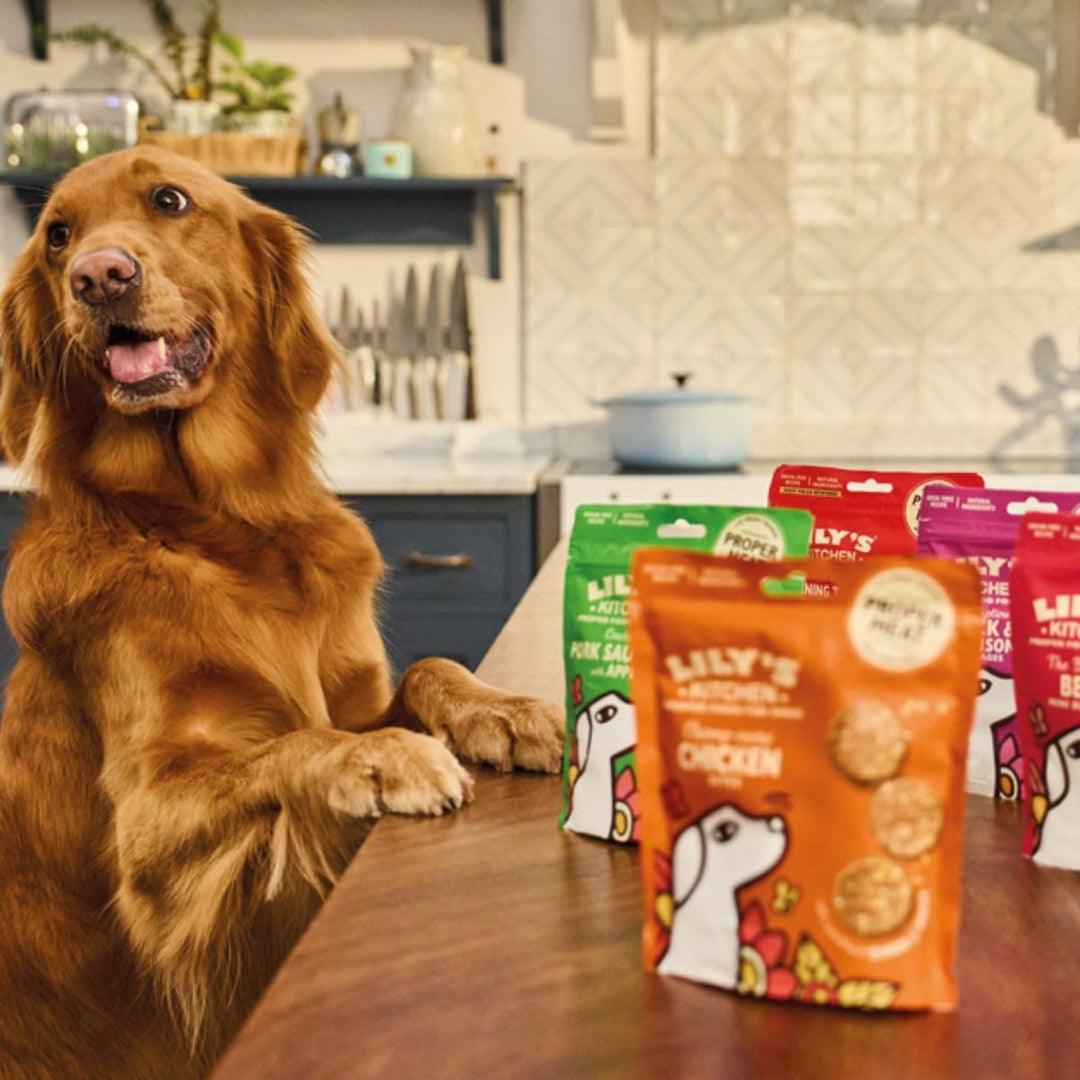 Lily’s Kitchen Leckerchen für ausgewachsene Hunde 8er Pack (8 x 70 g) Mini Burgers mit 80 % Rind