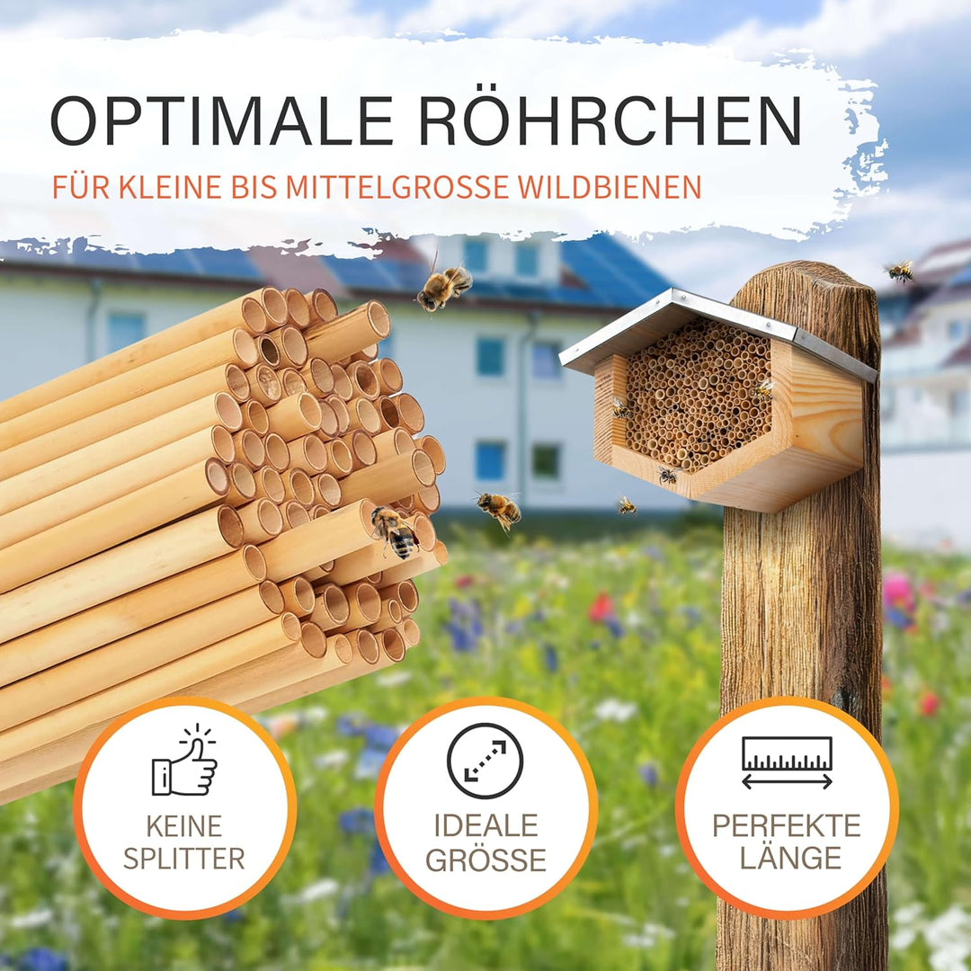 Beesi Bienenhotel mit wetterfestem Metalldach I Bienenhaus mit Schilfröhrchen I Verschiedene Durchme