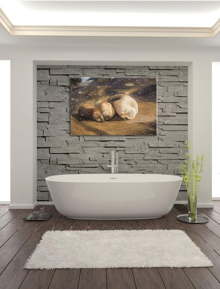 Pixxprint Familie Seelöwen in der Sonne als Leinwandbild/Grösse: 100x70 / Wandbild/Kunstdruck/fertig