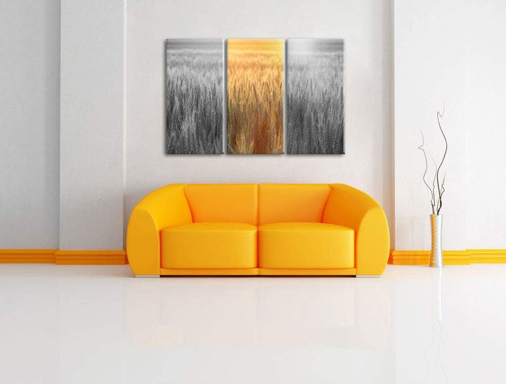 Romantisches Getreidefeld bei Sonnenuntergang schwarz/weiss 3-Teiler Leinwandbild 120x80 Bild auf Le