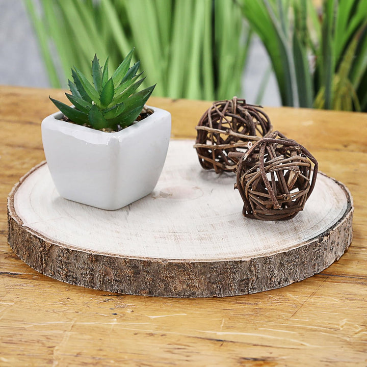 Cepewa Baumscheibe Holzscheibe │ Paulownia Naturprodukt 44x2,5cm │Scheibe Holz Holzplatte Dekoelemen