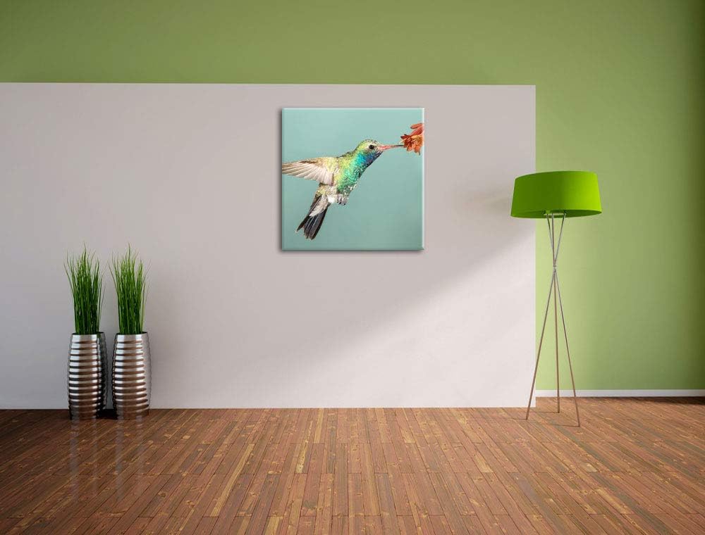 Pixxprint Bunter Kolibri, Format: 70x70 auf Leinwand, XXL riesige Bilder fertig gerahmt mit Keilrahm