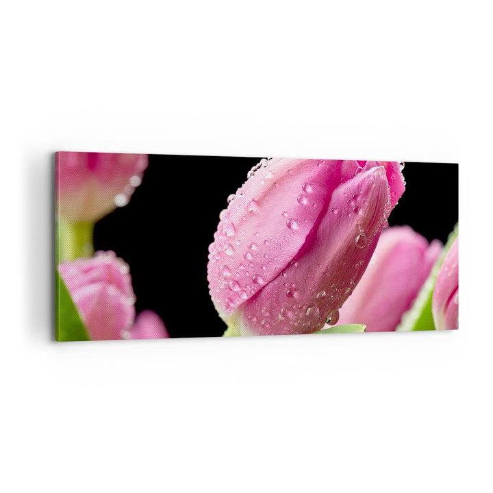 Panorama Bilder auf Leinwand 100x40cm Leinwandbild Tulpe Blumen Tau Gross Wanddeko Bild Schlafzimmer