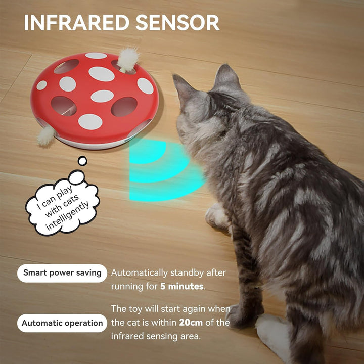 Namsan Interaktives Katzenspielzeug Infrarotsensor Ausgestattet Katzenspielzeug Selbstbeschäftigung