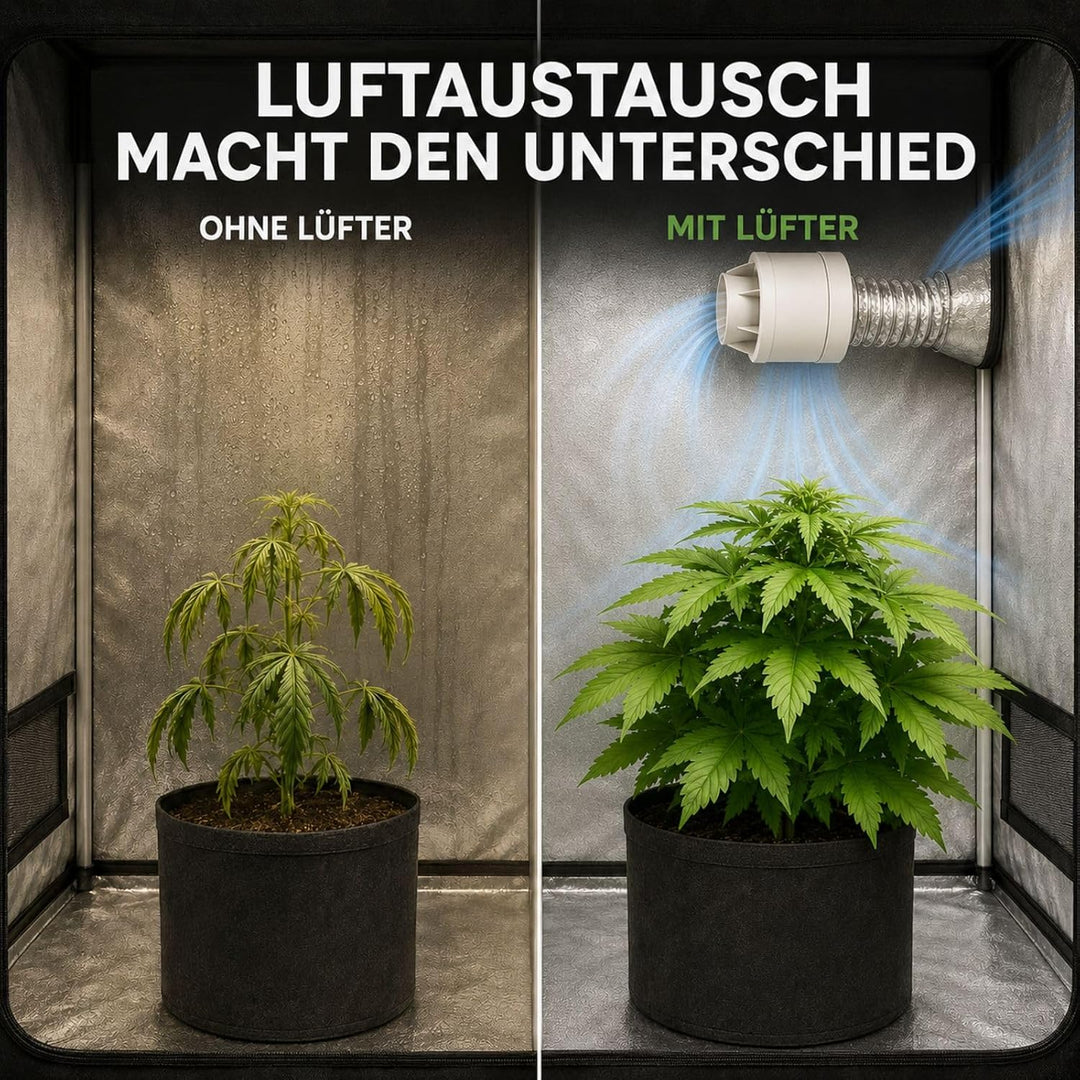 Weedness Grow Abluft Set Set ECO 305 m3/h 150 mm Flansch Belüftungsset - Grow Indoor Aktivkohlefilte