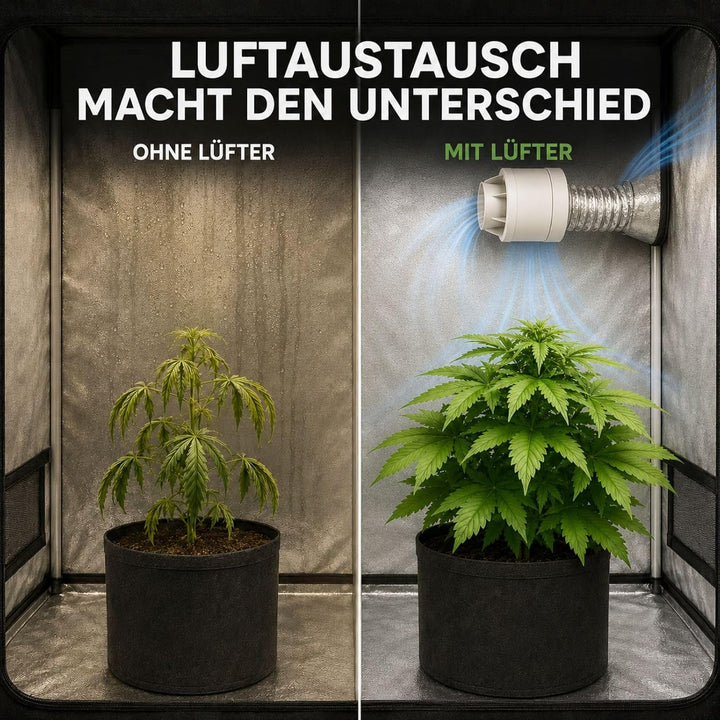 Weedness Grow Abluft Set Set ECO 305 m3/h 150 mm Flansch Belüftungsset - Grow Indoor Aktivkohlefilte