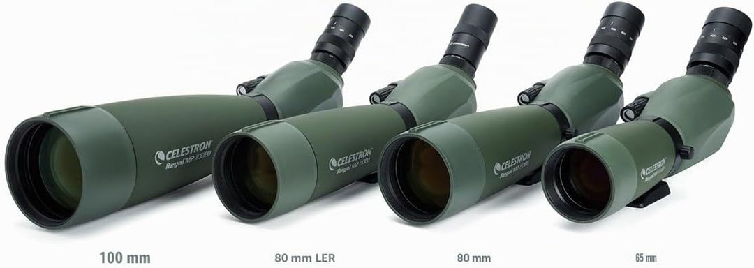 Celestron 52304-DS M2 65ED Regal Spektiv, Grün Regal M2
