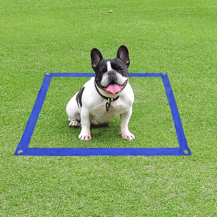 Agility Ausrüstungs Set für Hunde Training Hundesport Hundetraining Spiele Zubehör mit Hürdenstange,