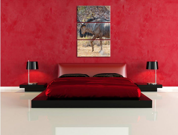 Pixxprint Kaffernbüffel in der Savanne 3-Teiler Leinwandbild 120x80 Bild auf Leinwand