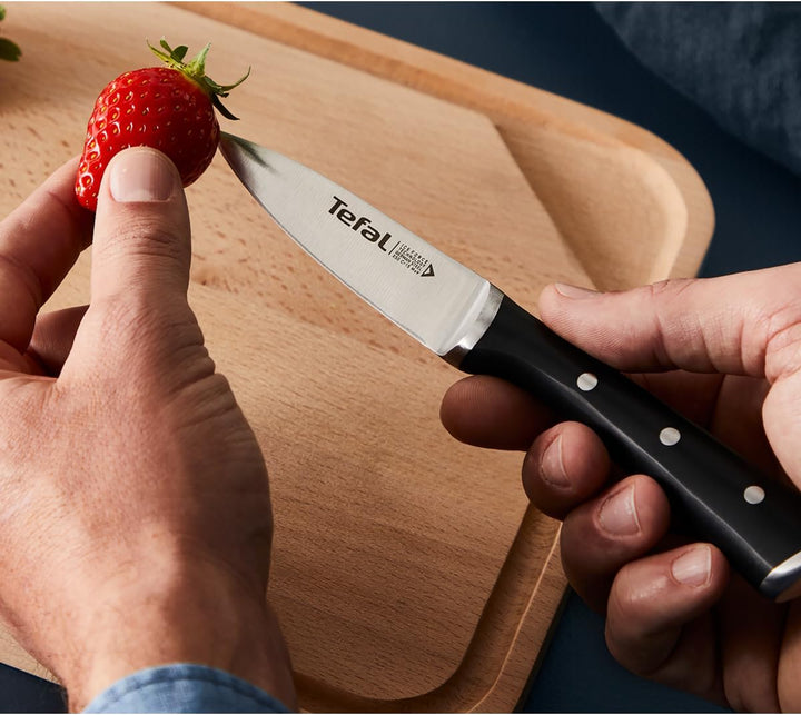 Tefal Iceforce Messerset 5-teilig