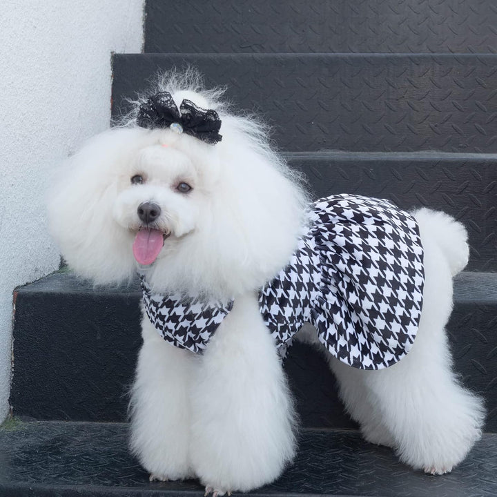 CuteBone Houndstooth Hundekleid samt Rollkragenpullover Welpenrock Kostüm Haustier Outfit Katzenklei