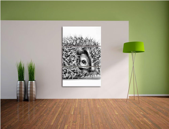 Pixxprint Monocrome, kleines niedliches Igel Baby 3-Teiler Leinwandbild 120x80 Bild auf Leinwand