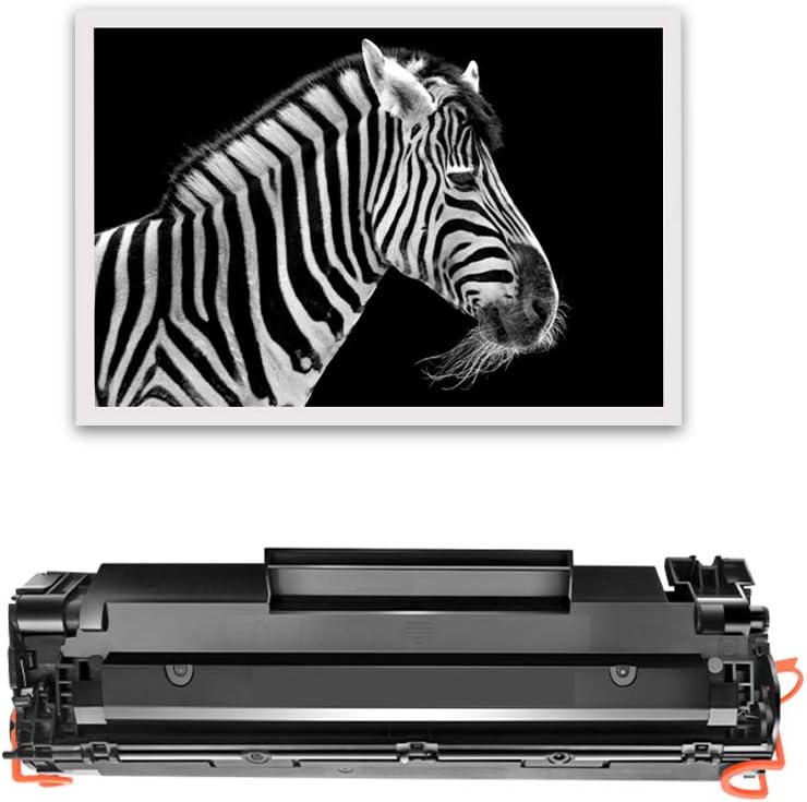 ZOOMTEC CE278A 78A Tonerkartusche für HP Laserjet M1500 M1536DNF M1537DNF M1538DNF M1539DNF P1566 P1