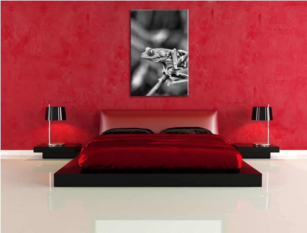 Pixxprint Grüner Kleiner Frosch auf AST als Leinwandbild | Grösse: 100x70 cm | Wandbild | Kunstdruck