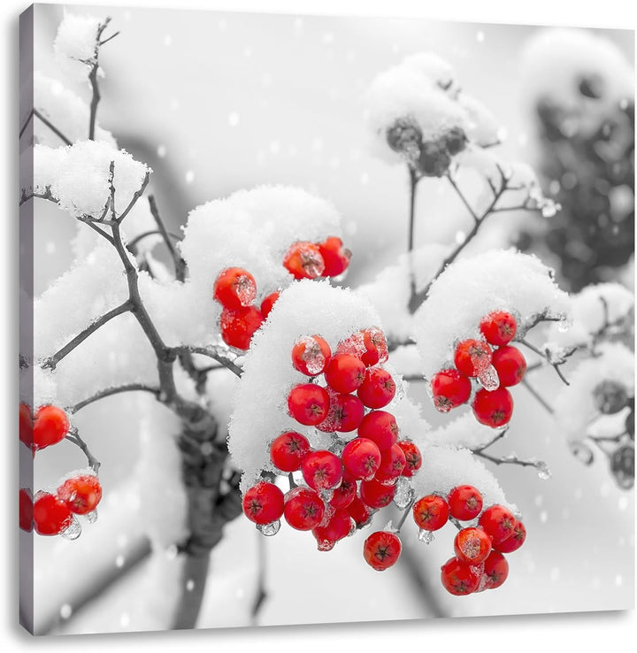 Pixxprint Rote Vogelbeeren im Winter als Leinwandbild Quadratisch/Grösse: 70x70 / Wandbild/Kunstdruc