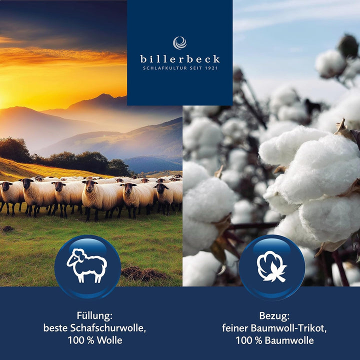 Billerbeck 7200270007 Auflagen 740 Multilind, circa 180 x 200 cm 180 x 200 cm Natur, 180 x 200 cm Na