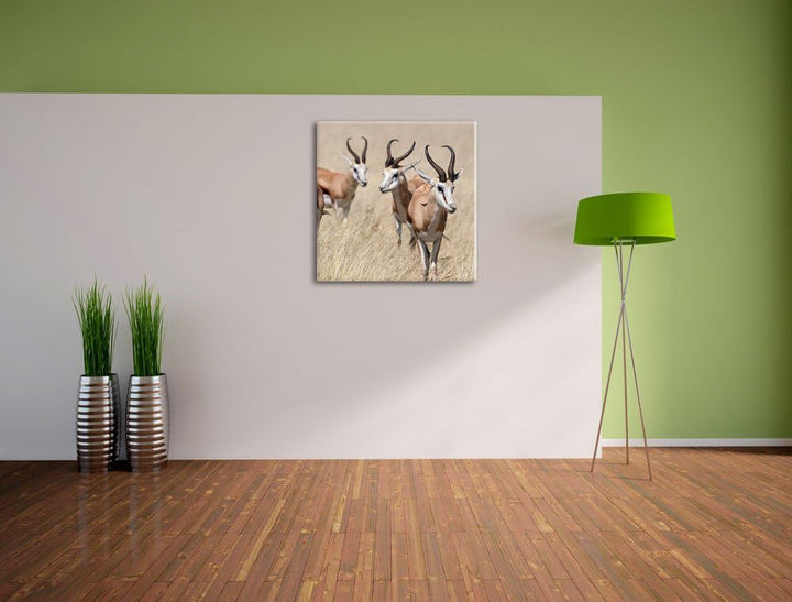 Pixxprint Tiere in Savanne Rehe Afrika, Format: 70x70 auf Leinwand, 70x70
