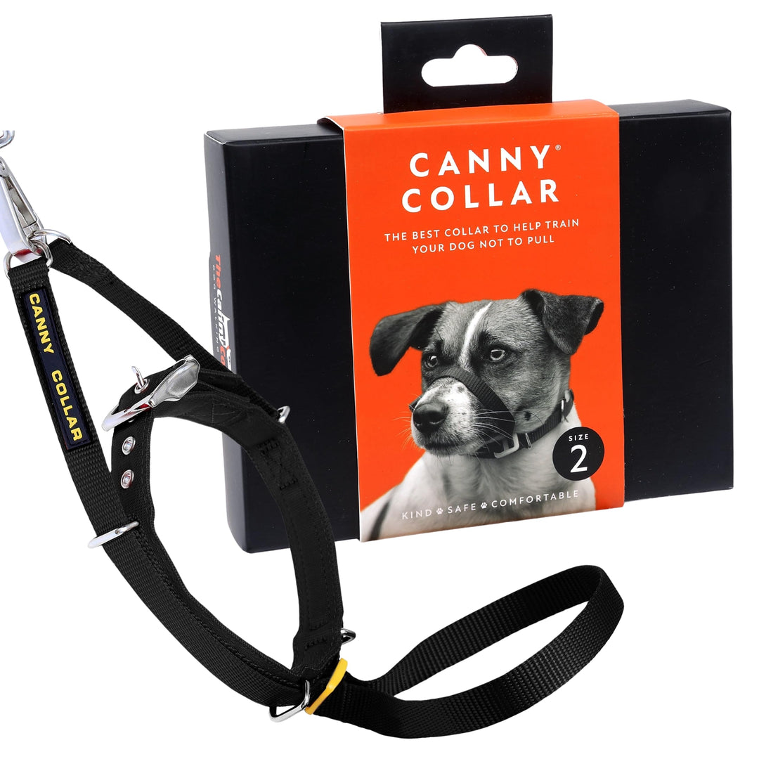 Canny Collar Halsband für Hunde, einfache und effektive Hilfe beim Hundetraining und verhindert das