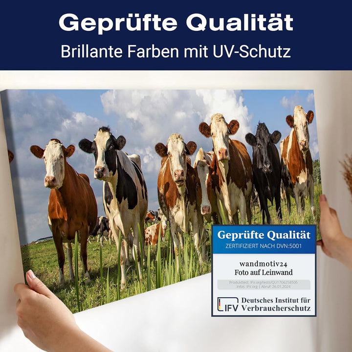 wandmotiv24 Leinwandbild Kühe auf der Weide, Tiere, Rinder, Kuh 100x40cm (BxH) Bilder auf Leinwand,