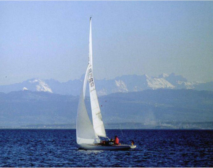 Omegon Fernglas Blackstar 12x42