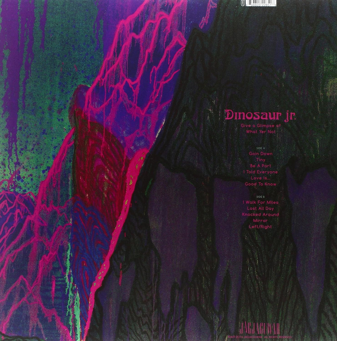 Give a Glimpse of What Yer Not, Vinyl