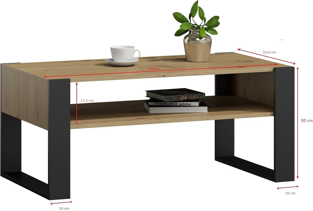 MATKAM Couchtisch KAJA H50 x B100 x T53,6 cm Loft Retro, offene Ablage unter der Tischplatte, Kufenb