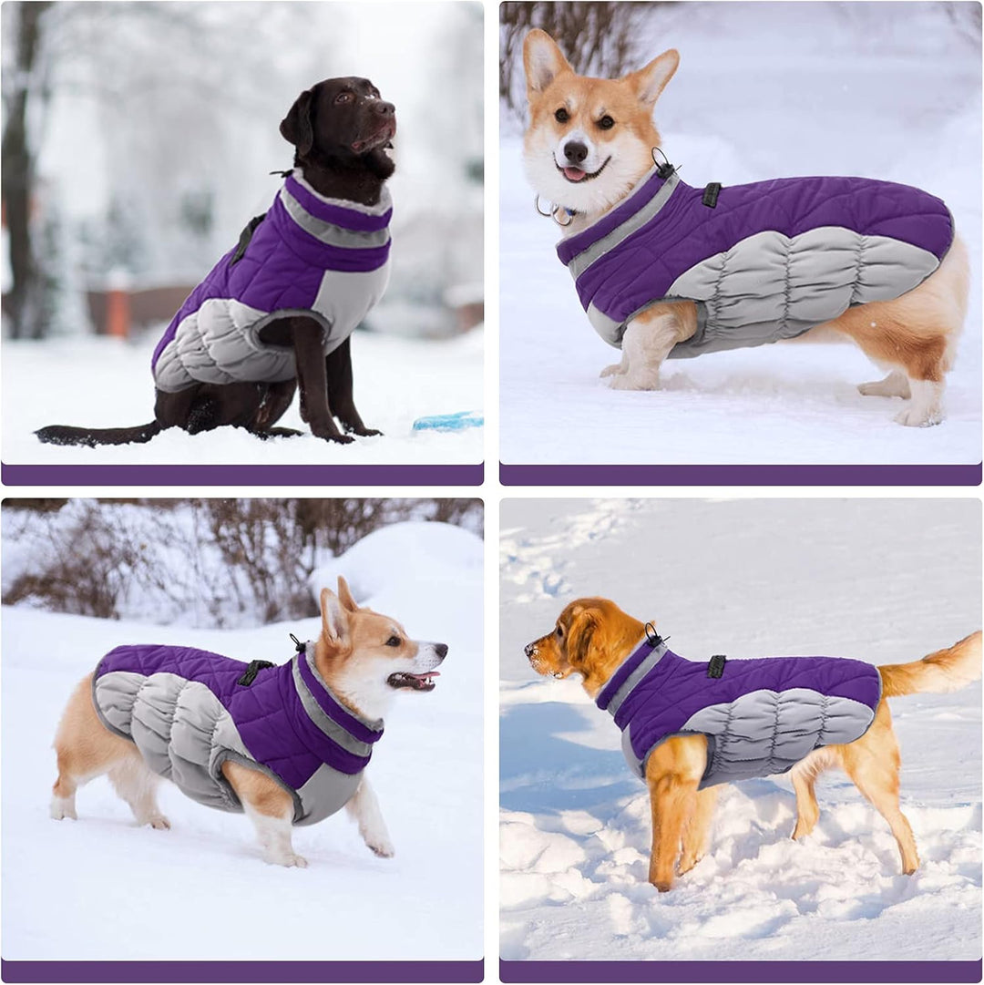 Kuoser Hundejacke Wintermantel für Mittelgrosse Hunde - Wasserdichte Winterweste Mit Geschirr - Warm